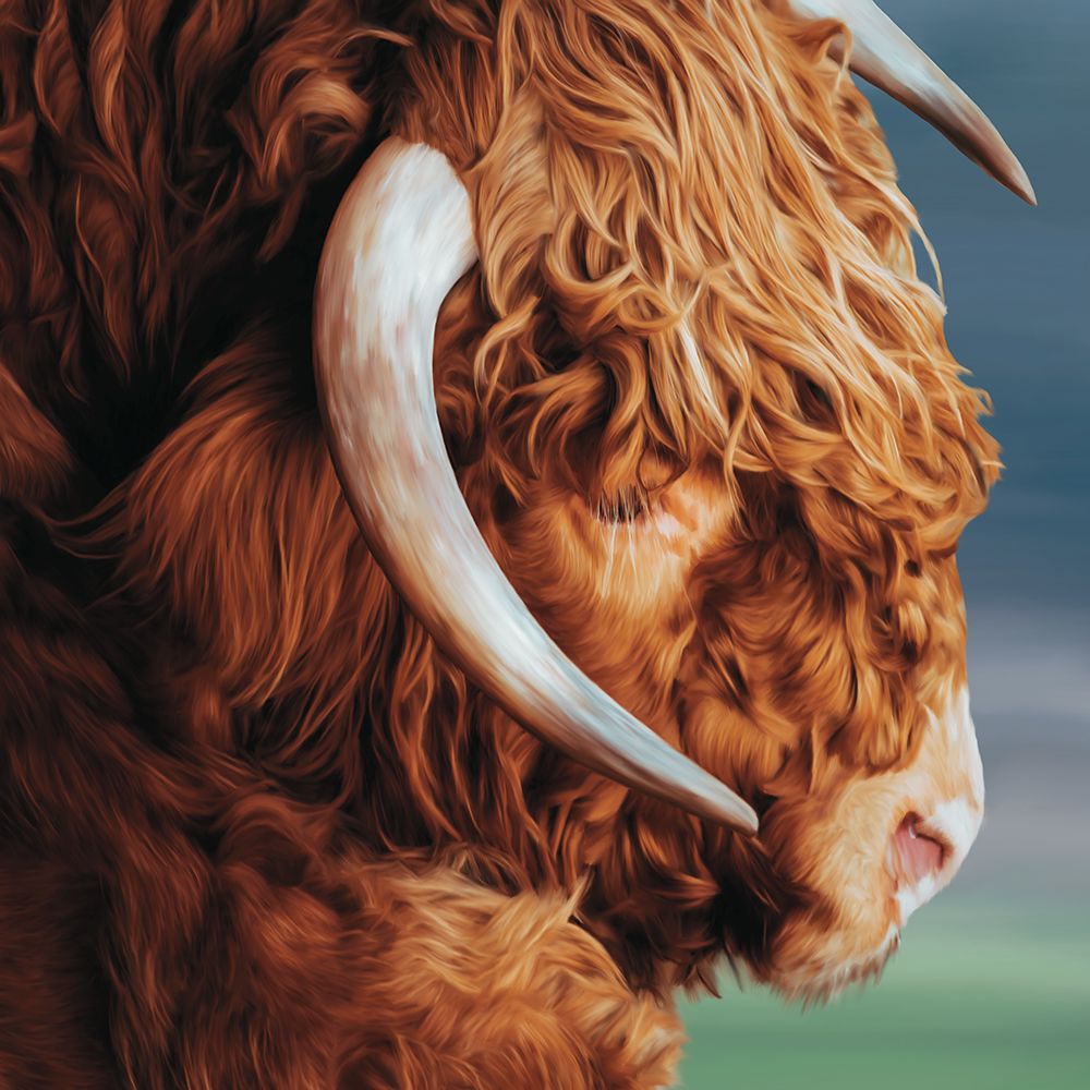 Up Close With Highland Cows 1 art print by Renel Peters for $57.95 CAD