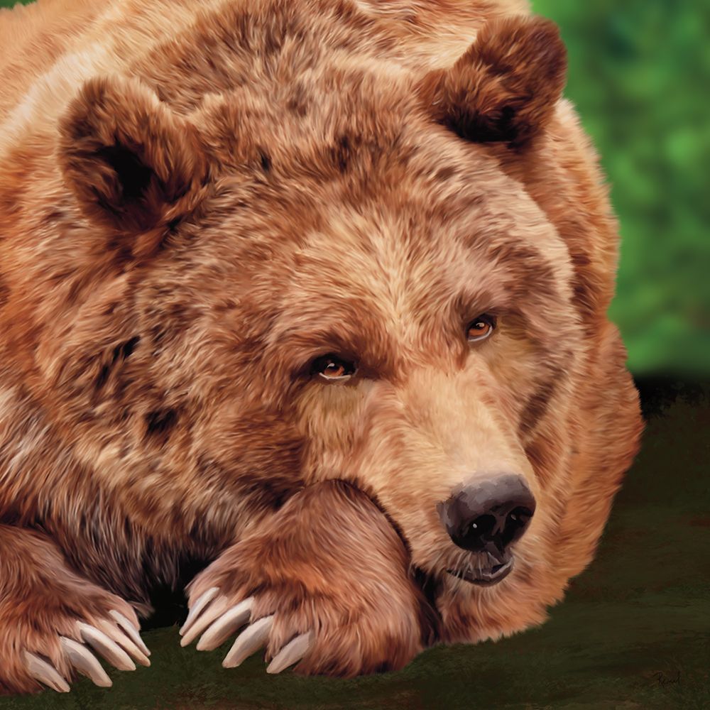 Contented Bear art print by Renel Peters for $57.95 CAD