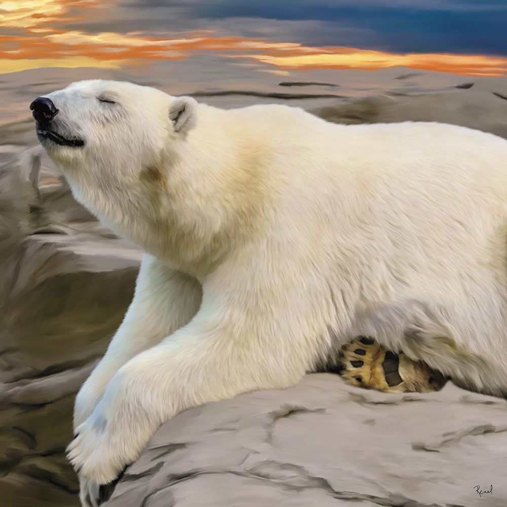 Polar Bear At Sunset art print by Renel Peters for $57.95 CAD