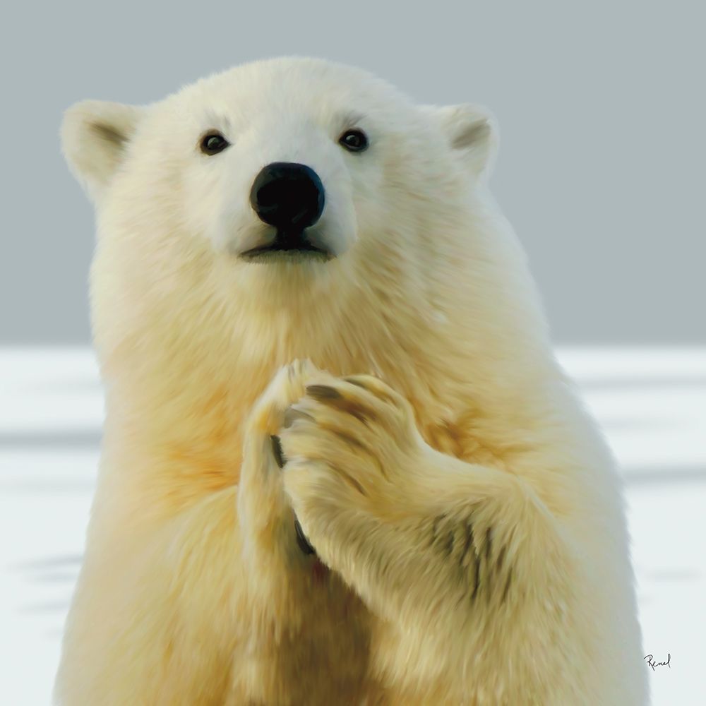 Grateful Polar Bear art print by Renel Peters for $57.95 CAD