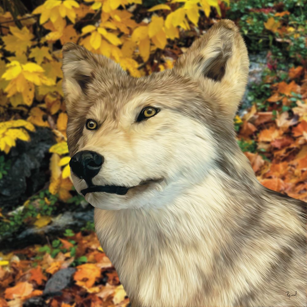 On Alert art print by Renel Peters for $57.95 CAD