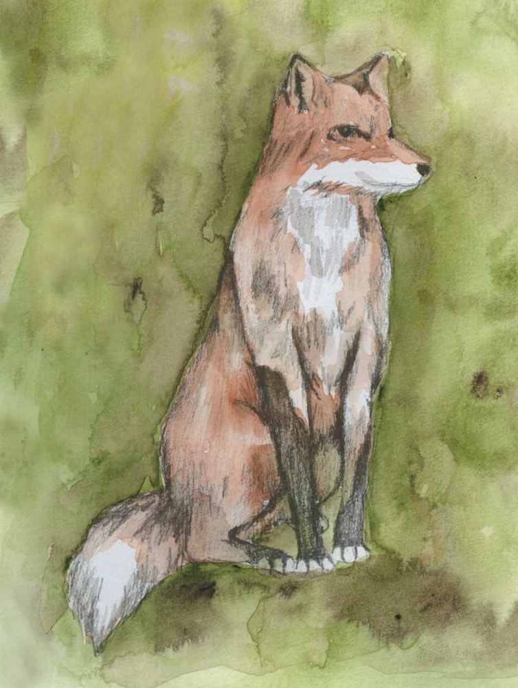 Fantastic Fox art print by Pam Varacek for $57.95 CAD