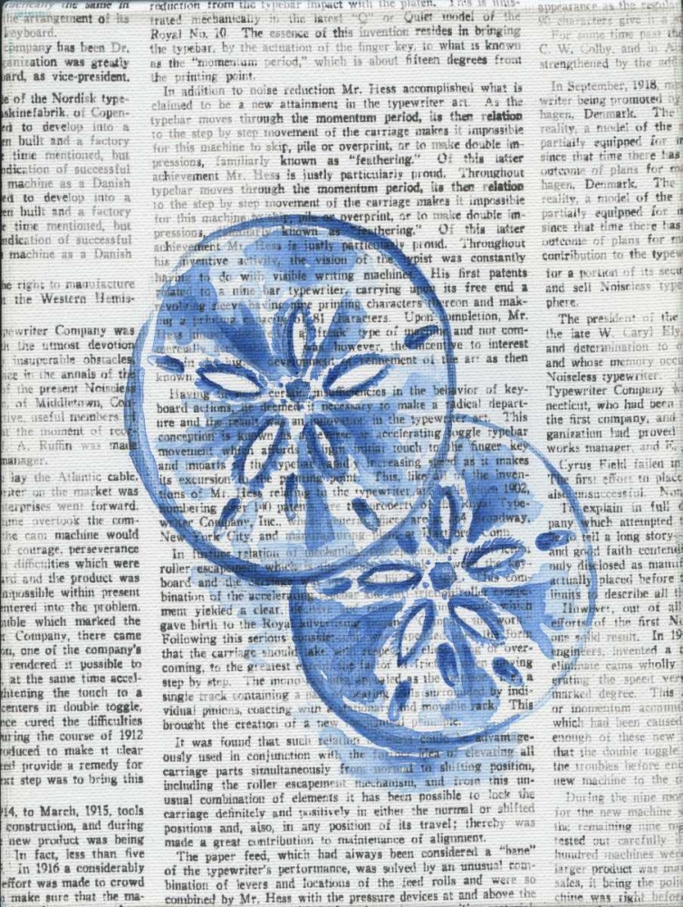 Written Sand Dollars art print by Pam Varacek for $57.95 CAD
