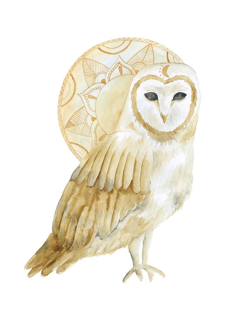 Night Dreams art print by Pam Varacek for $57.95 CAD
