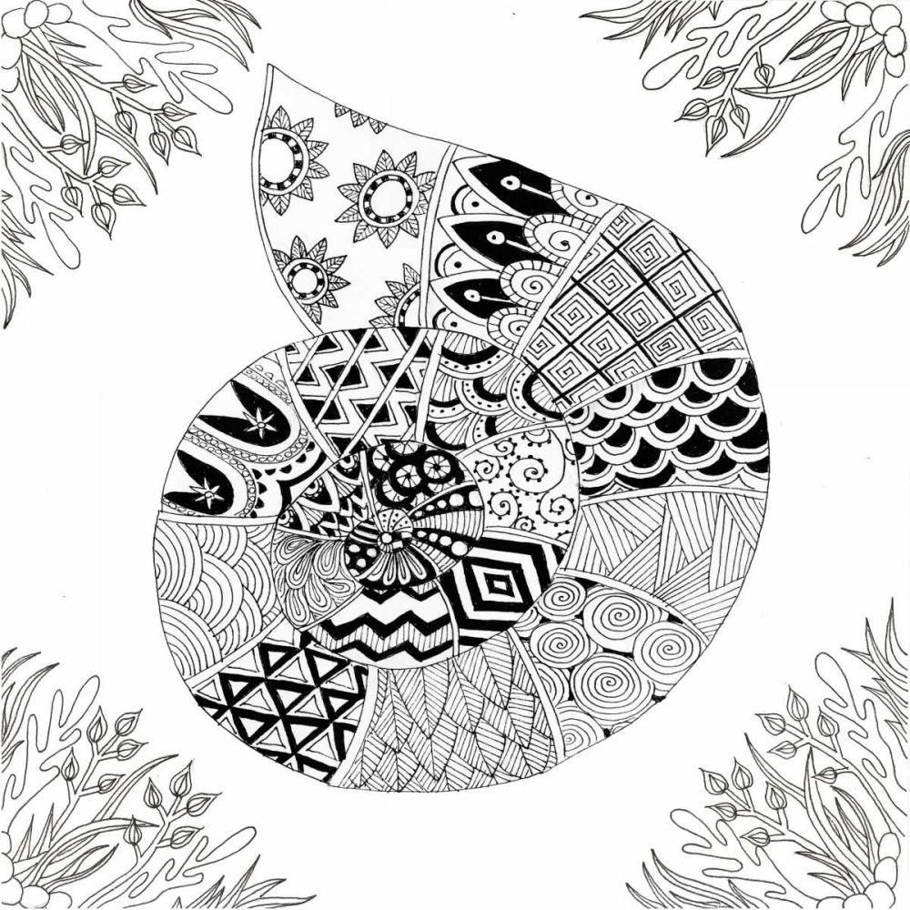 BW Nautilus Boardered art print by Pam Varacek for $57.95 CAD