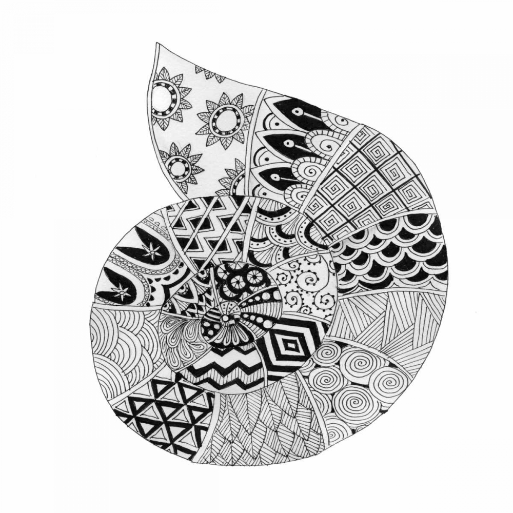 BW Decorated Nautilus art print by Pam Varacek for $57.95 CAD