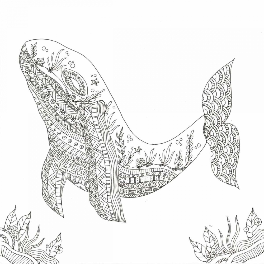 Humpback From The Deep art print by Pam Varacek for $57.95 CAD