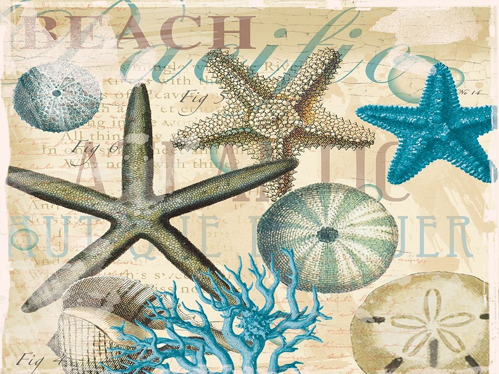 Beach Shells R1 art print by Candace Allen for $57.95 CAD