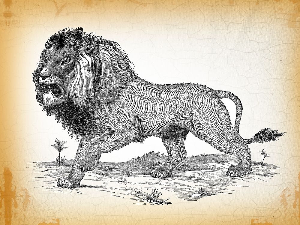 Industrial Lion art print by Lula Bijoux and Company for $57.95 CAD
