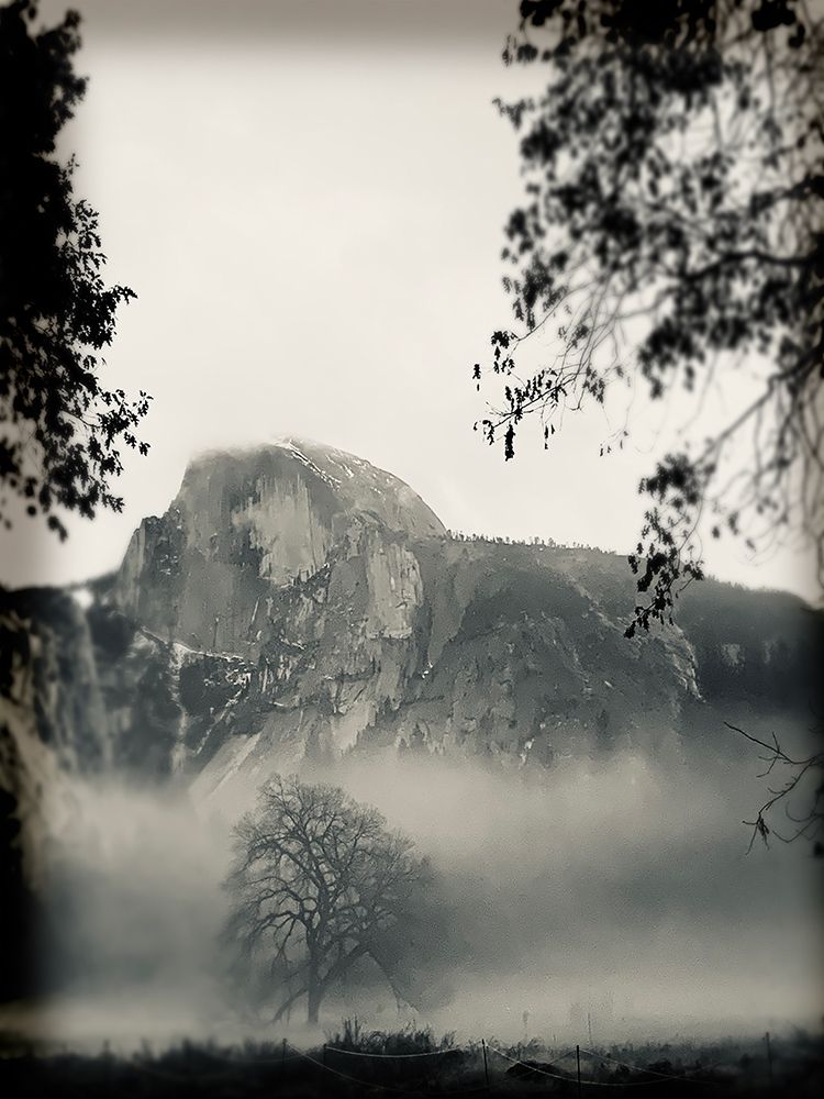 Mistty Mountains art print by Lula Bijoux and Company for $57.95 CAD