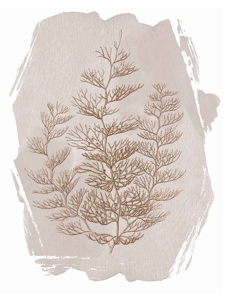 Driftwood Calm 1 art print by Lula Bijoux And Company for $57.95 CAD