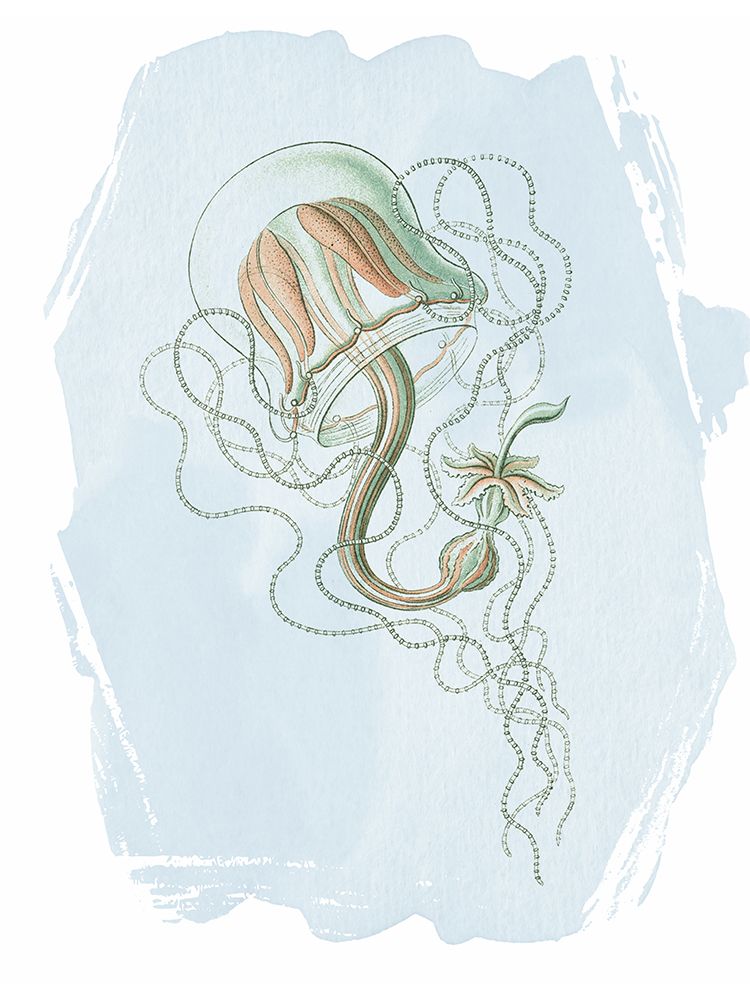 Driftwood Calm 2 art print by Lula Bijoux and Company for $57.95 CAD