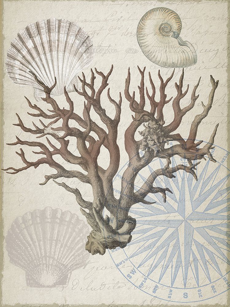 Coastal Coral art print by Lula Bijoux and Company for $57.95 CAD