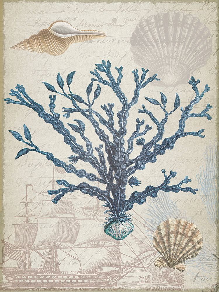 Coastal Coral 2 art print by Lula Bijoux and Company for $57.95 CAD