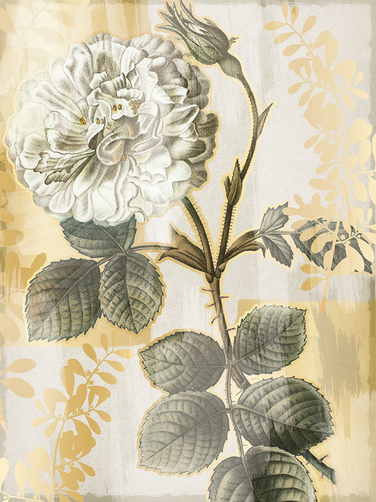 White Rose 1 art print by Lula Bijoux And Company for $57.95 CAD