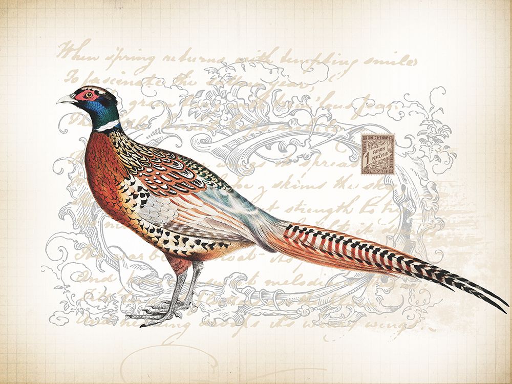 Pheasant Birds 2 art print by Lula Bijoux and Company for $57.95 CAD