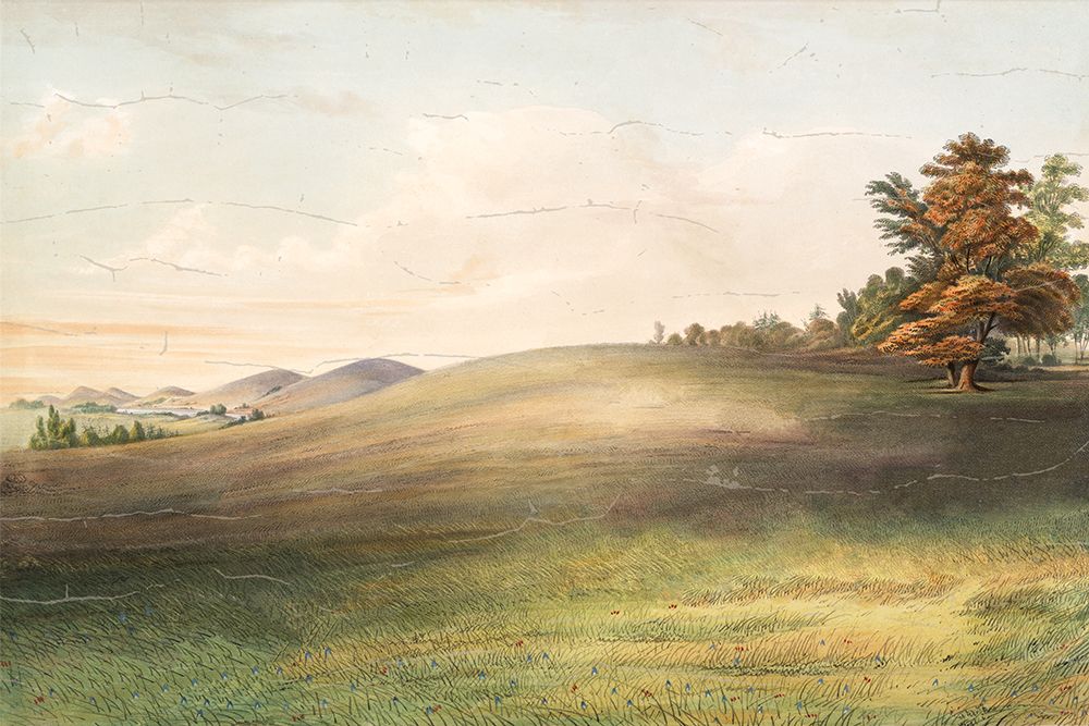 Veiled Landscape 1 art print by Lula Bijoux And Company for $57.95 CAD