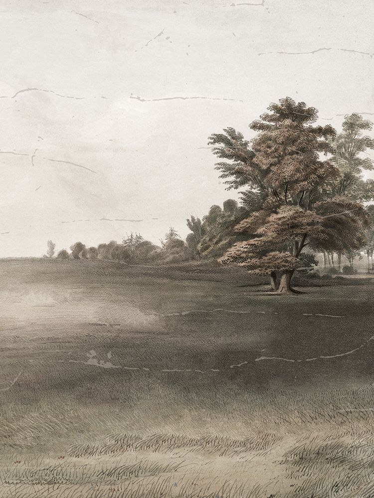 Veiled Landscape 1 art print by Lula Bijoux And Company for $57.95 CAD