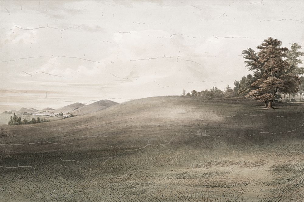 Veiled Landscape 2 art print by Lula Bijoux And Company for $57.95 CAD