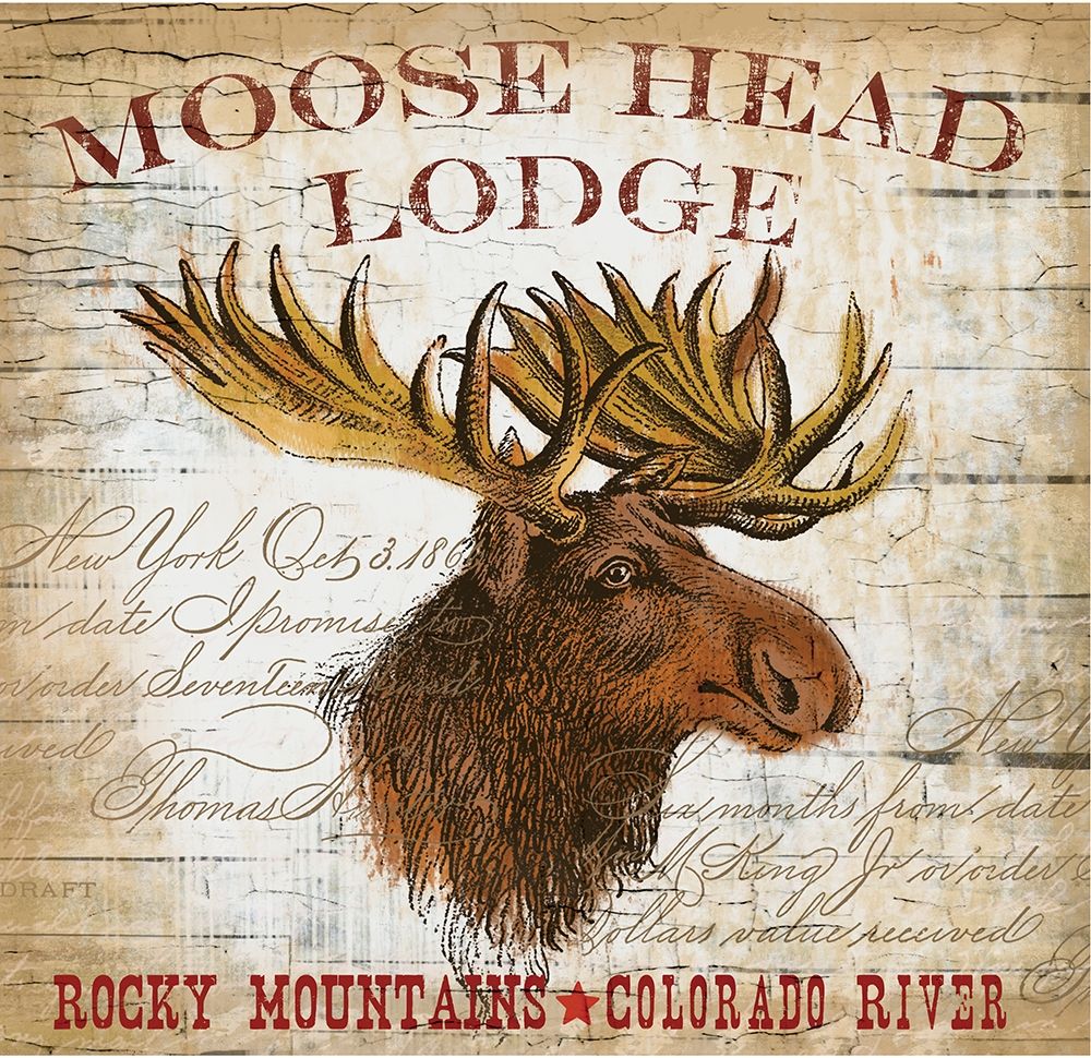 Moose Layout art print by Candace Allen for $57.95 CAD