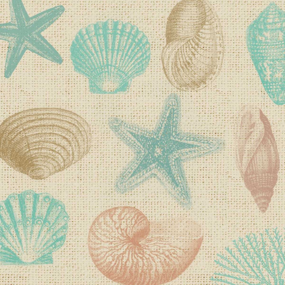 New Beachcomber Shells 1 art print by Lula Bijoux and Company for $57.95 CAD
