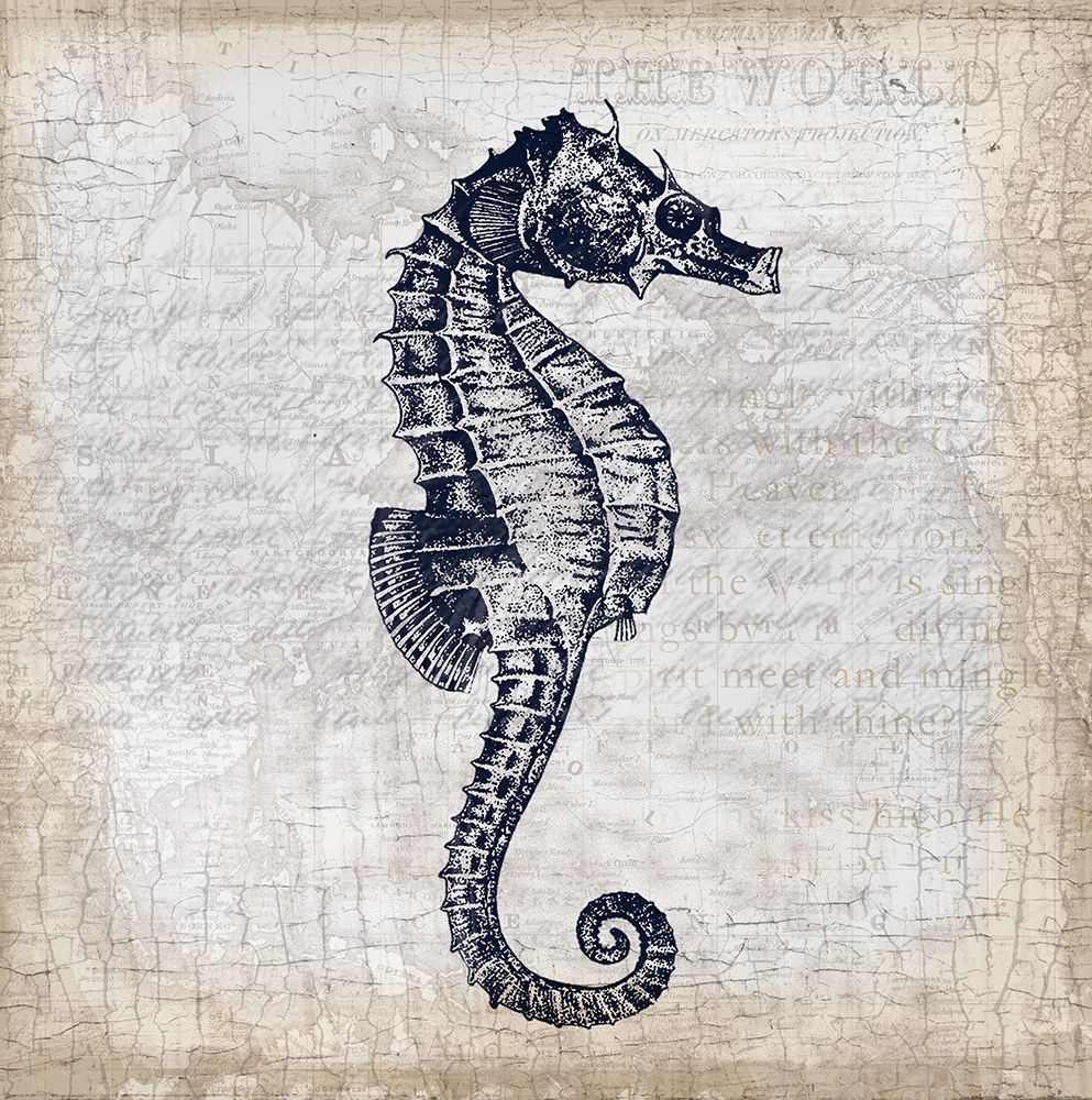 Sea Horse On Cream art print by Lula Bijoux and Company for $57.95 CAD