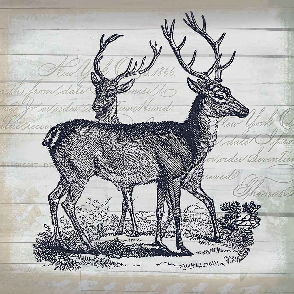 Wandering art print by Lula Bijoux and Company for $57.95 CAD