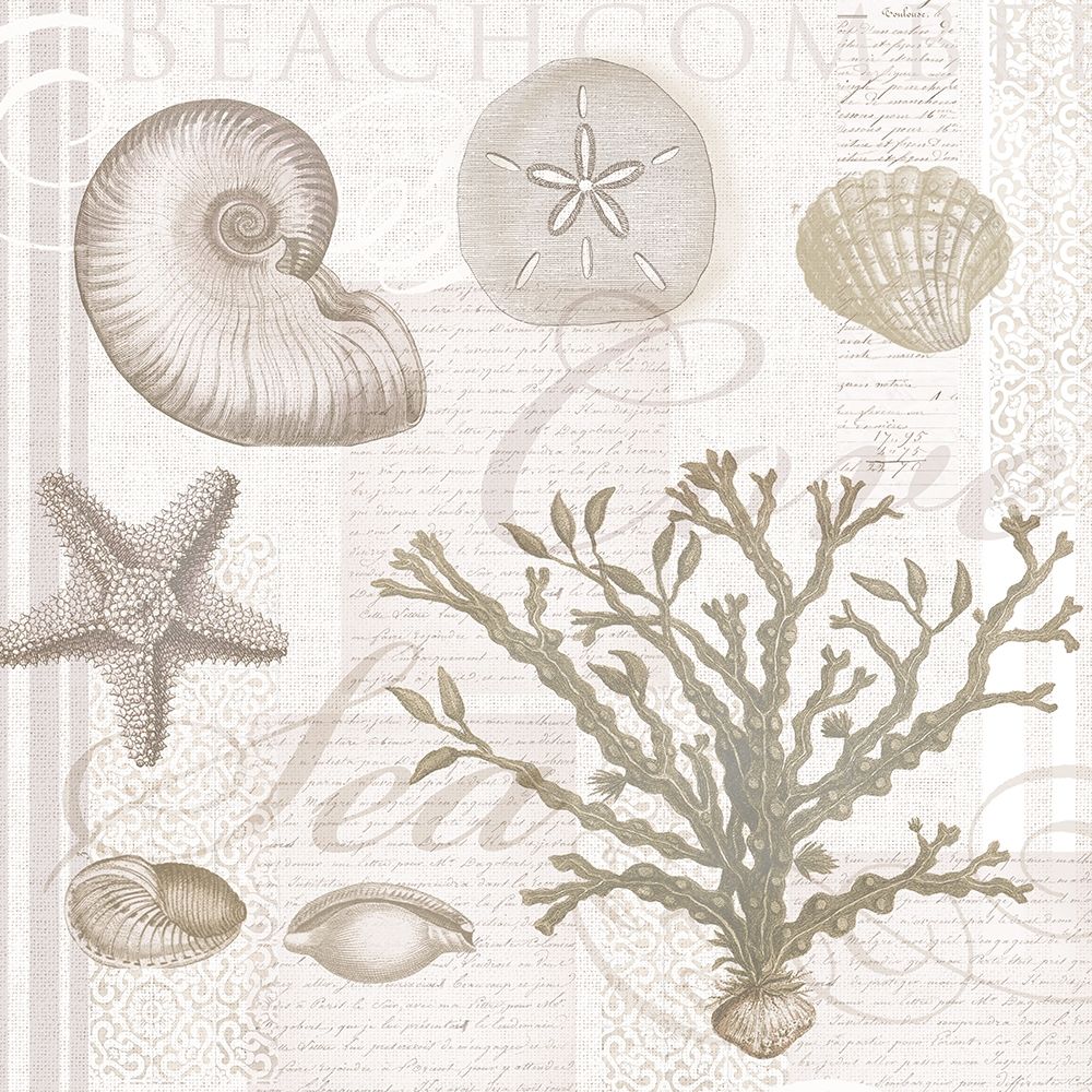 Soft Shell Collage art print by Lula Bijoux and Company for $57.95 CAD