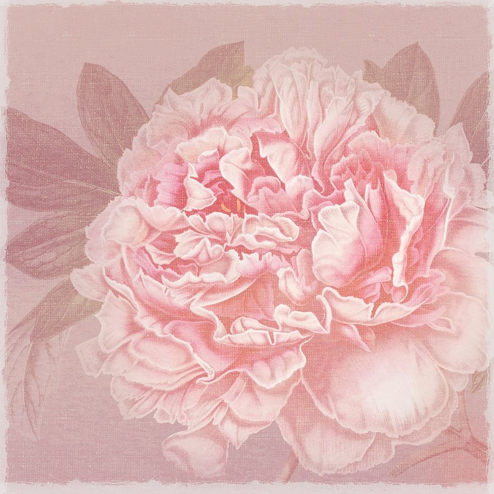 Spring Eden Peony 2 art print by Lula Bijoux and Company for $57.95 CAD