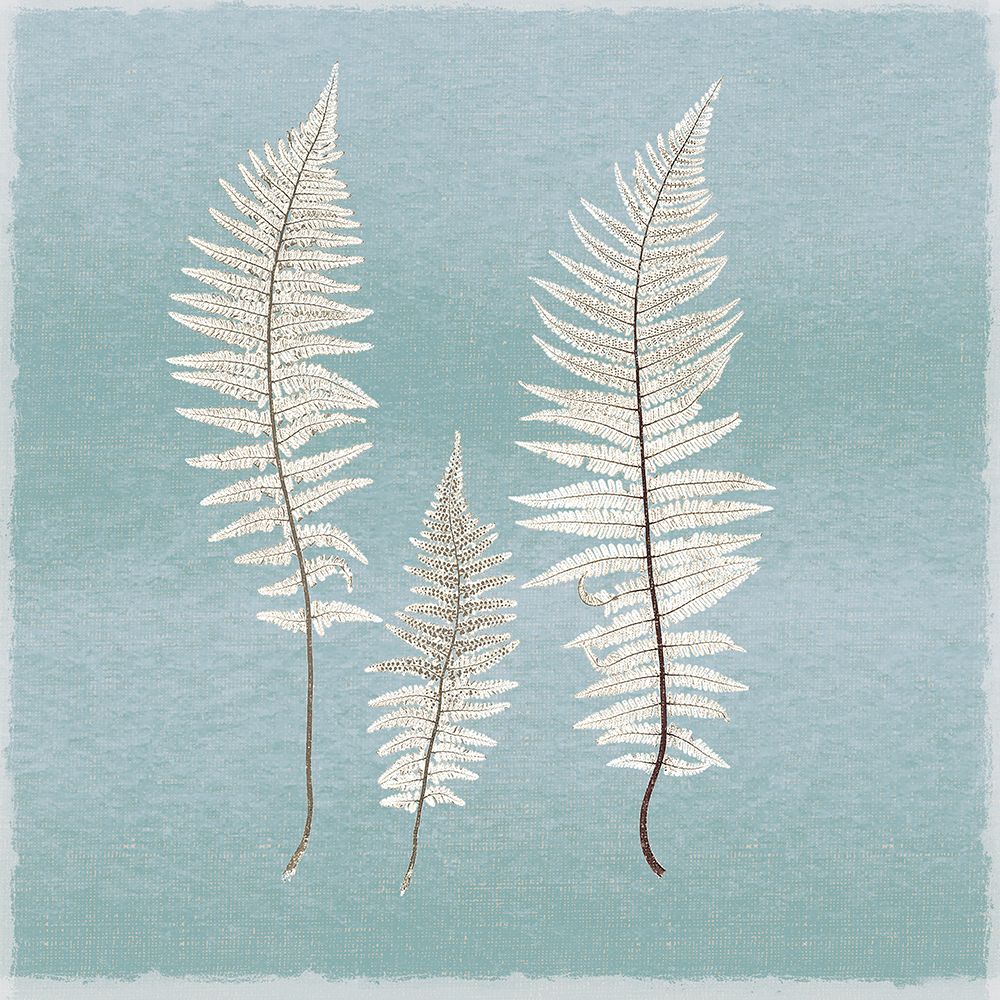 Spring Eden Fern art print by Lula Bijoux And Company for $57.95 CAD