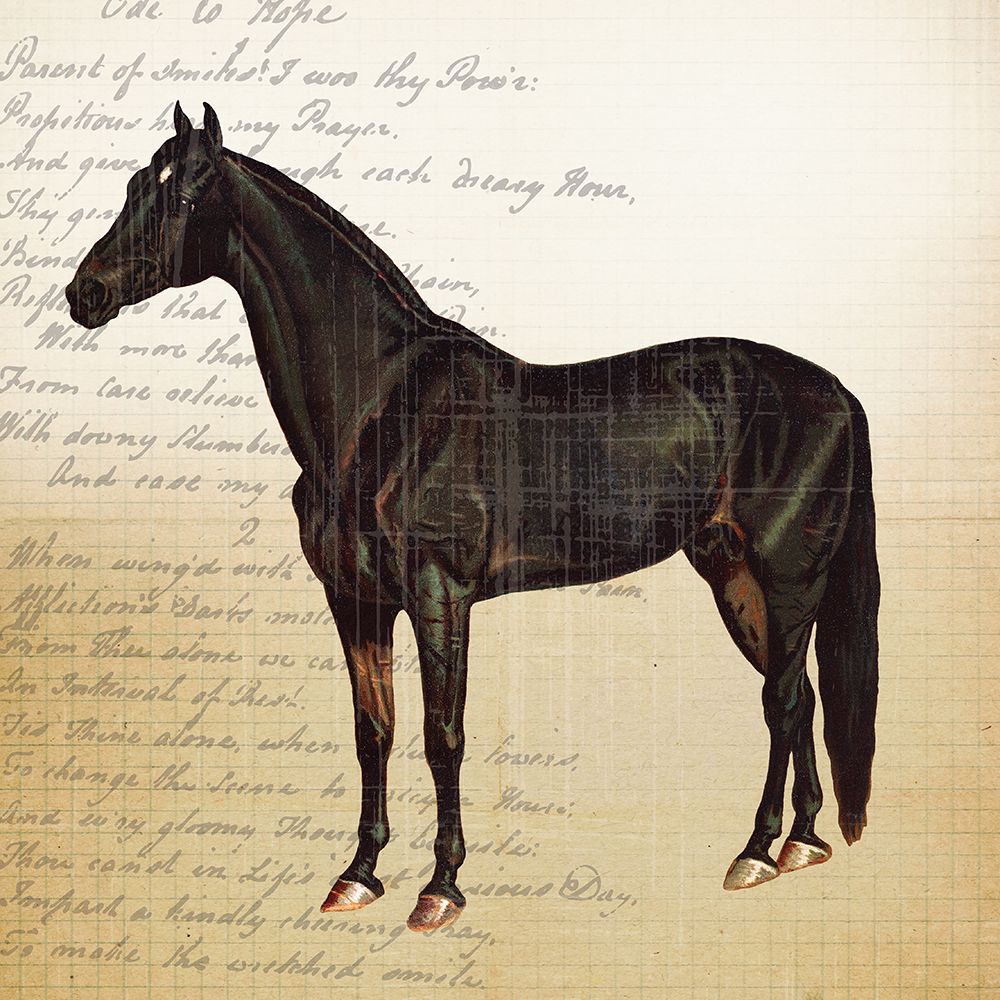 Cheval 1 art print by Lula Bijoux And Company for $57.95 CAD