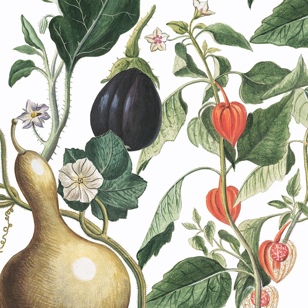 Sketch Whimzy Botanical 1 art print by Lula Bijoux and Company for $57.95 CAD