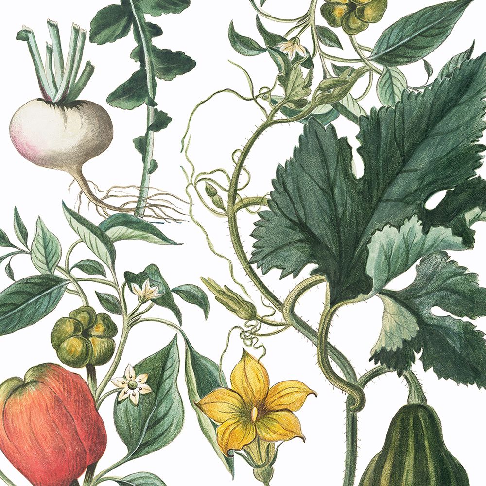 Sketch Whimzy Botanical 2 art print by Lula Bijoux and Company for $57.95 CAD