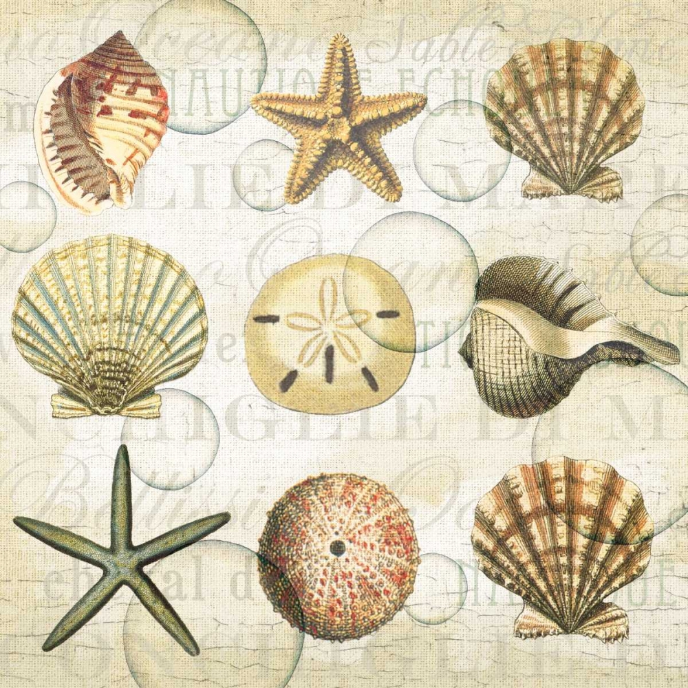 Shells 3 art print by Lula Bijoux and Company for $57.95 CAD