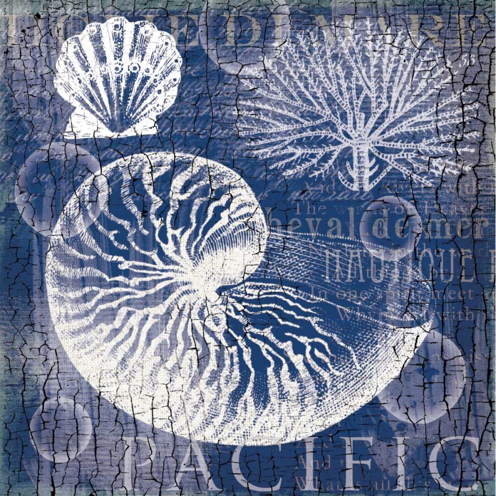 Navy Nautilus art print by Lula Bijoux and Company for $57.95 CAD