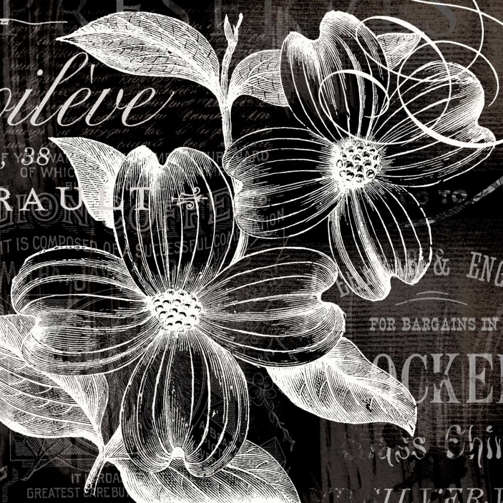 White Fleurs art print by Lula Bijoux and Company for $57.95 CAD
