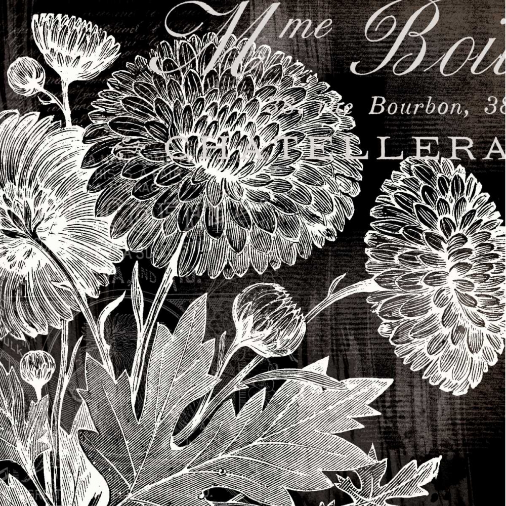 White Mums art print by Lula Bijoux and Company for $57.95 CAD