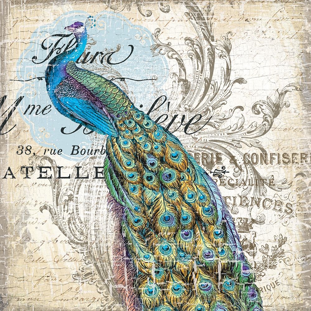Peacock 1 art print by Lula Bijoux and Company for $57.95 CAD