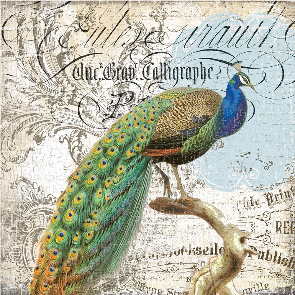 Peacock 2 art print by Lula Bijoux and Company for $57.95 CAD