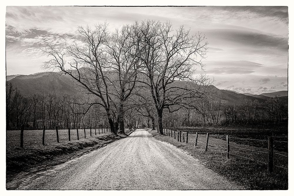 Less Traveled art print by Glenn Taylor for $57.95 CAD