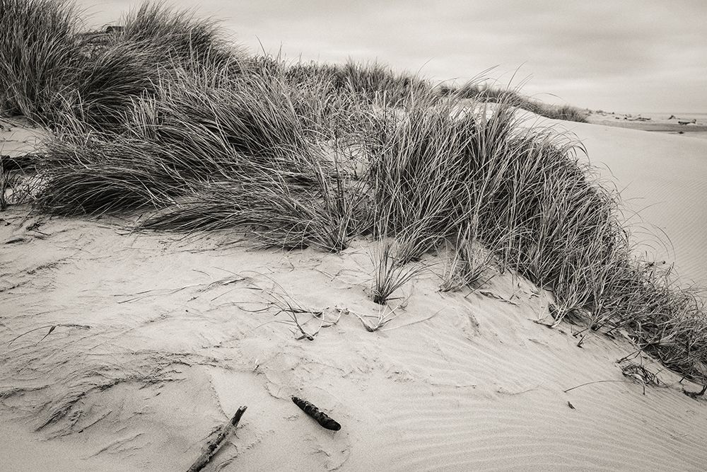 Beachy Dunes art print by Glenn Taylor for $57.95 CAD