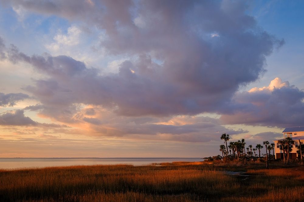 Marsh View art print by Glenn Taylor for $57.95 CAD