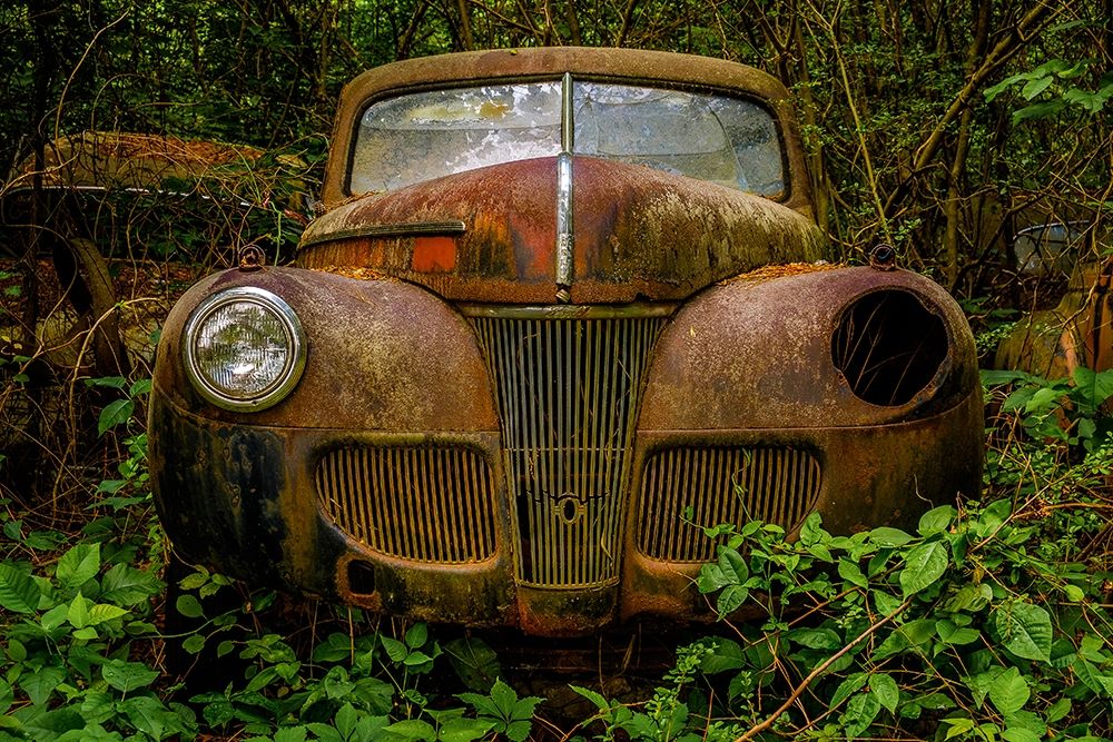 Old Bessy 1 art print by Glenn Taylor for $57.95 CAD