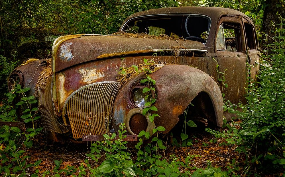 Old Bessy 2 art print by Glenn Taylor for $57.95 CAD