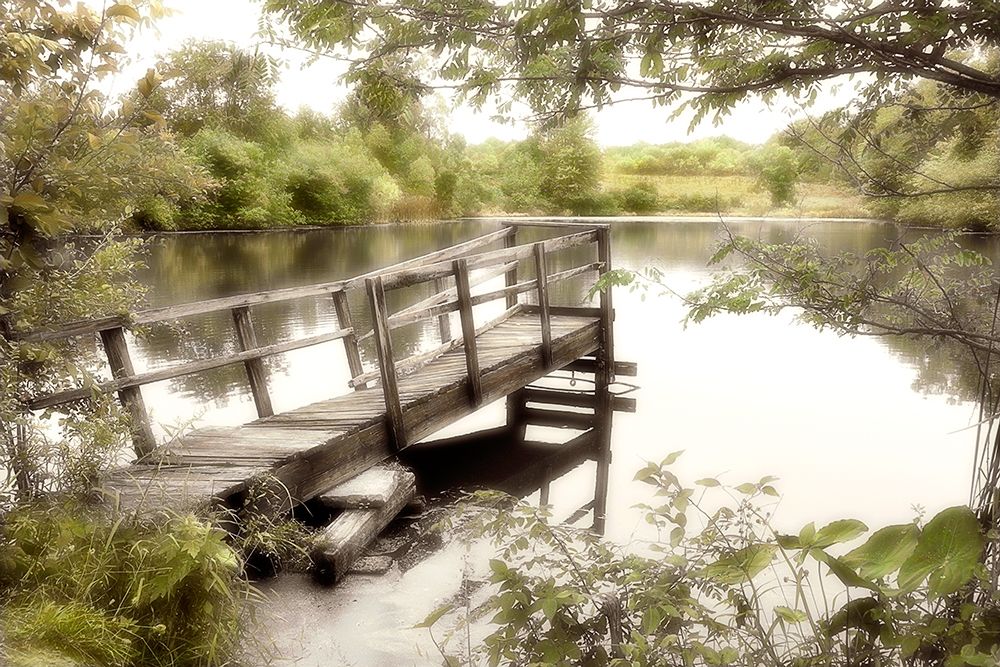 Pond Reflections art print by Dianne Poinski for $57.95 CAD