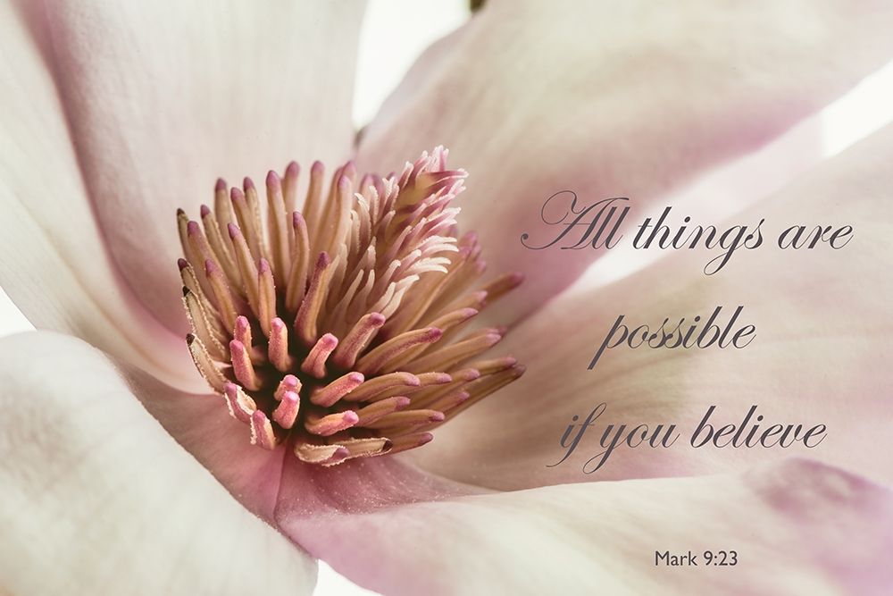 All Things Magnolia art print by Dianne Poinski for $57.95 CAD