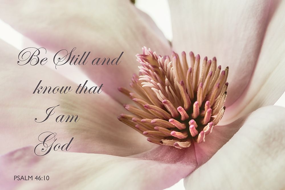 Be Still Magnolia art print by Dianne Poinski for $57.95 CAD