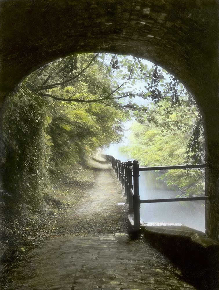 Shrewley Tunnel art print by Dianne Poinski for $57.95 CAD