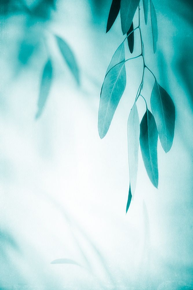 Emerald Variation 1 art print by Dianne Poinski for $57.95 CAD