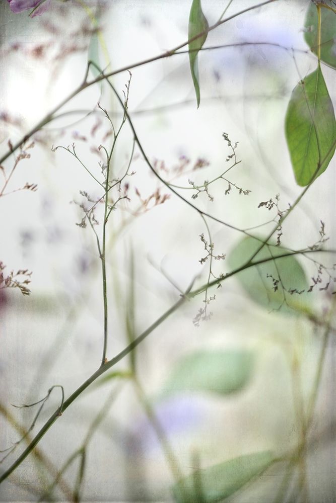 Soft Leaves I art print by Dianne Poinski for $57.95 CAD